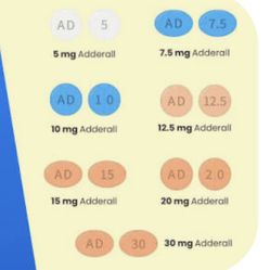 Study Budy 30 And 10 Million Grandsss (MGs) 