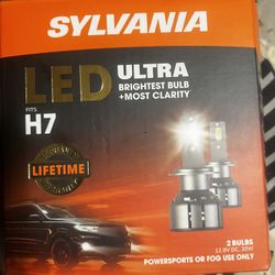 H7 Headlight Bulb