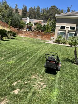 Lawn $erv1ce