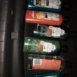 Shampoo And Conditioner