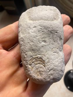 Fossil