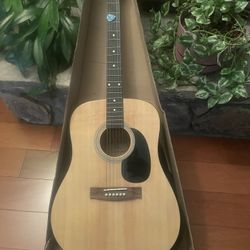 Acoustic Guitar