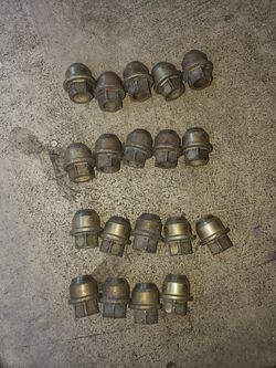 19 lug nuts. Possibly from Chevrolet trail blazer