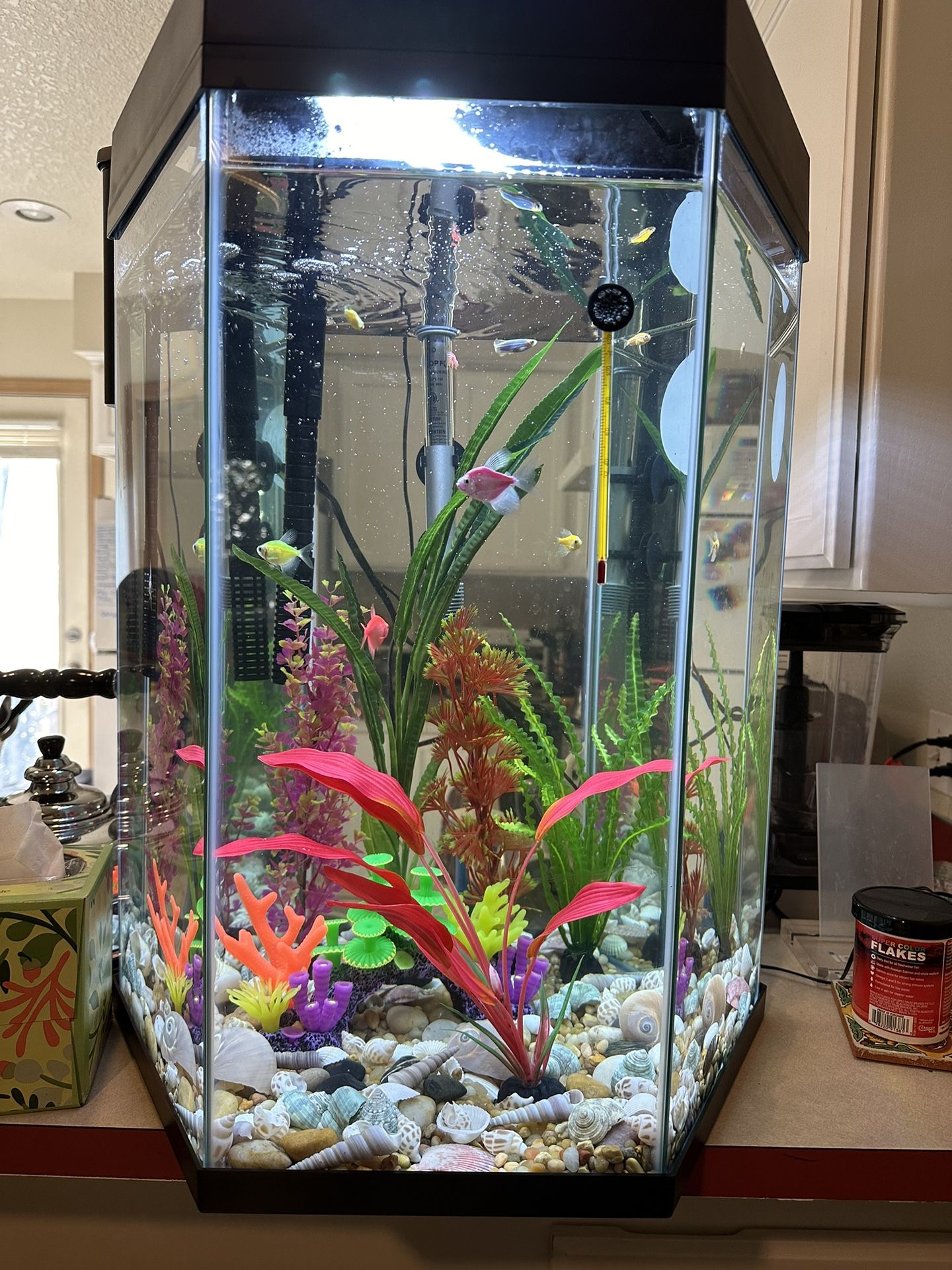 Aquarium
