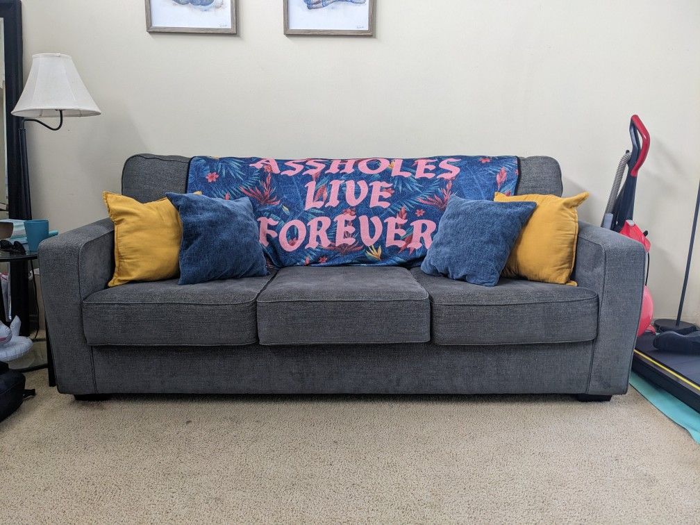 Living Spaces Sofa