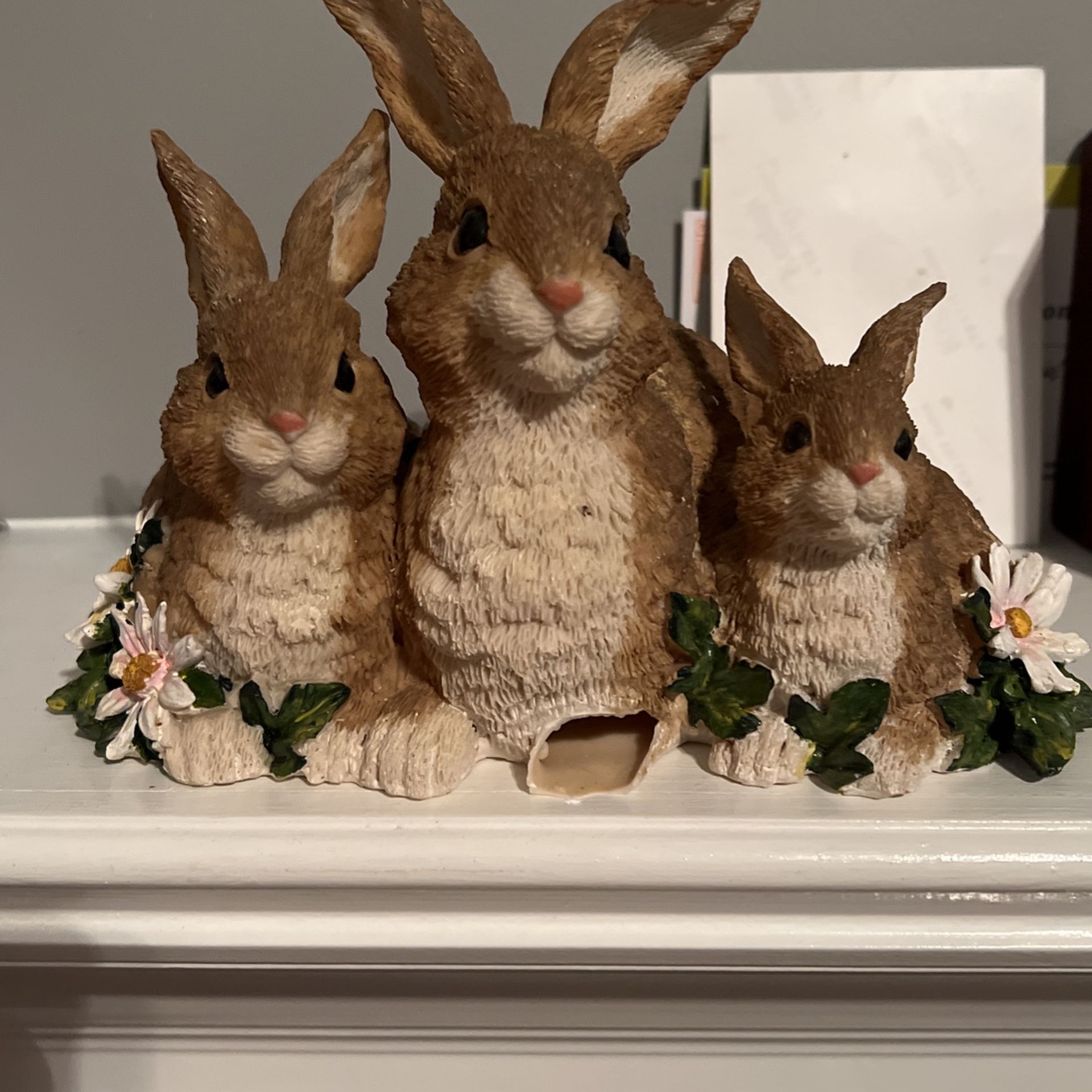 Three Rabbit