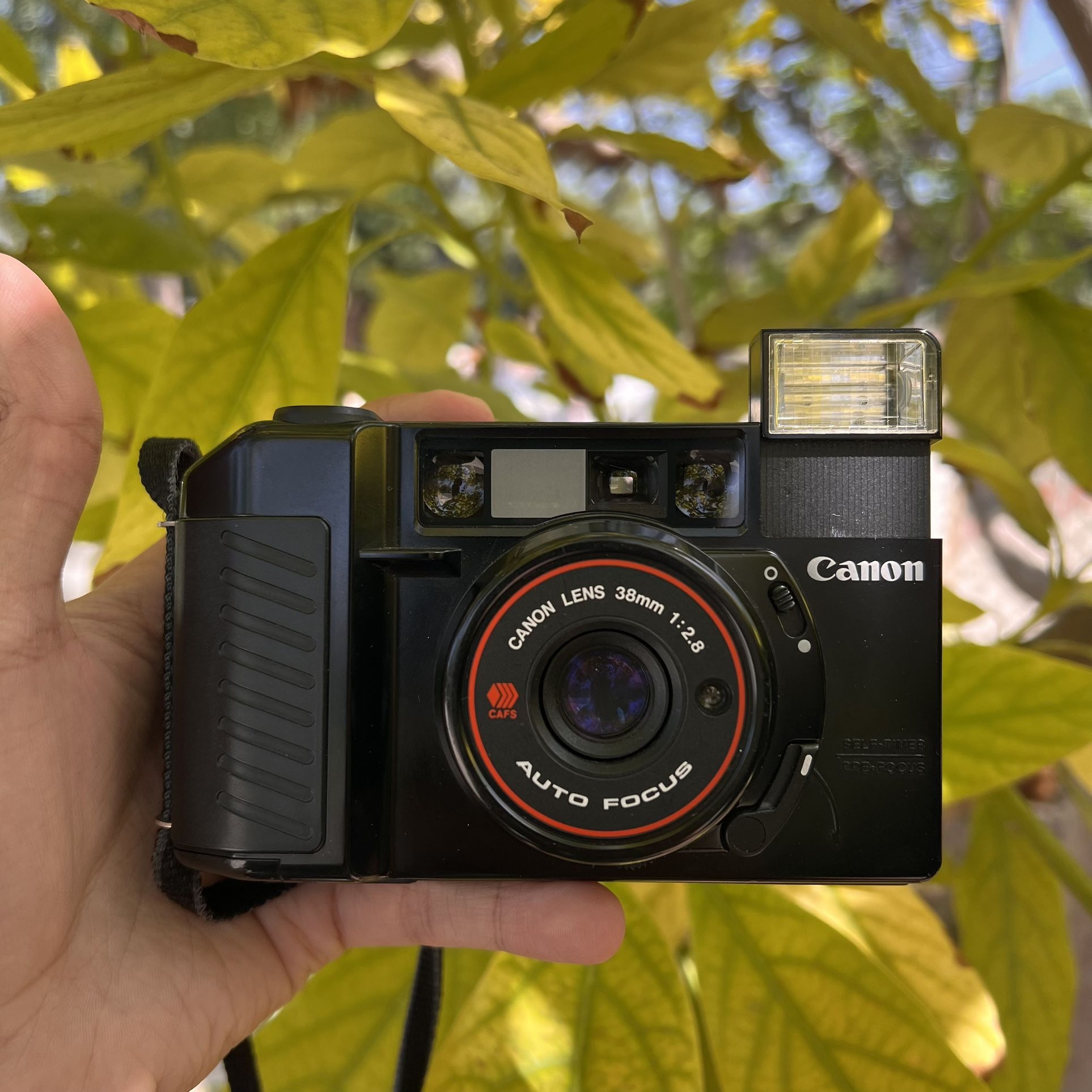 Canon Sure Shot 35mm Point and Shoot Film Camera