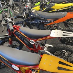 Tuttio ARC-I Kids Electric Bike 750W/36V