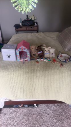 American Girl dog collection