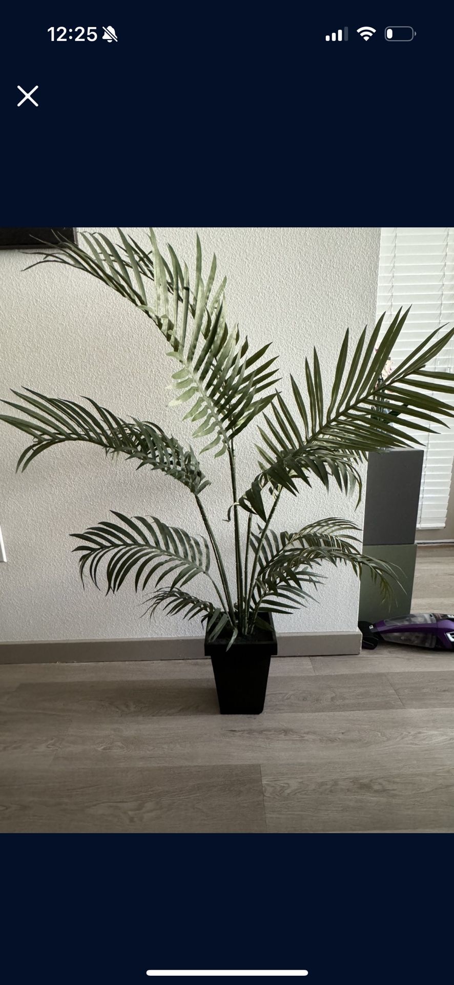 Plastic Plant