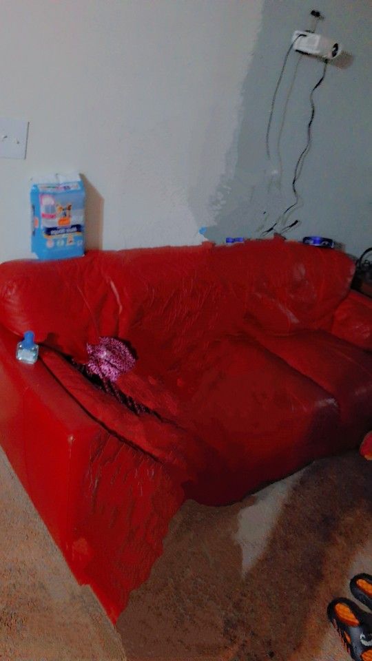 Red Leather Couch 
