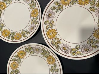 MCM Large Dinner Plates