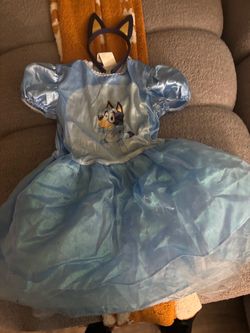 Bluey Costume