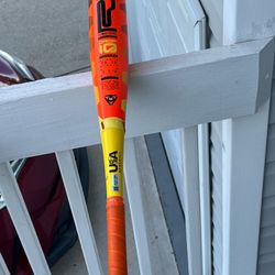 Baseball Bat