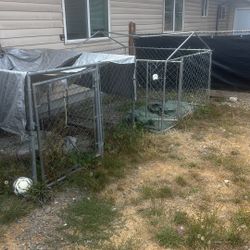Two 8x8 Dog Kennels
