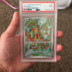 Pokemon Card