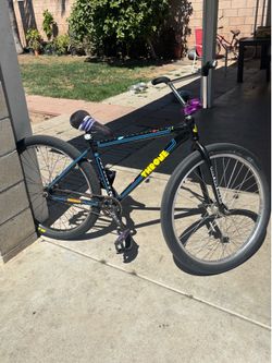Throne 29er