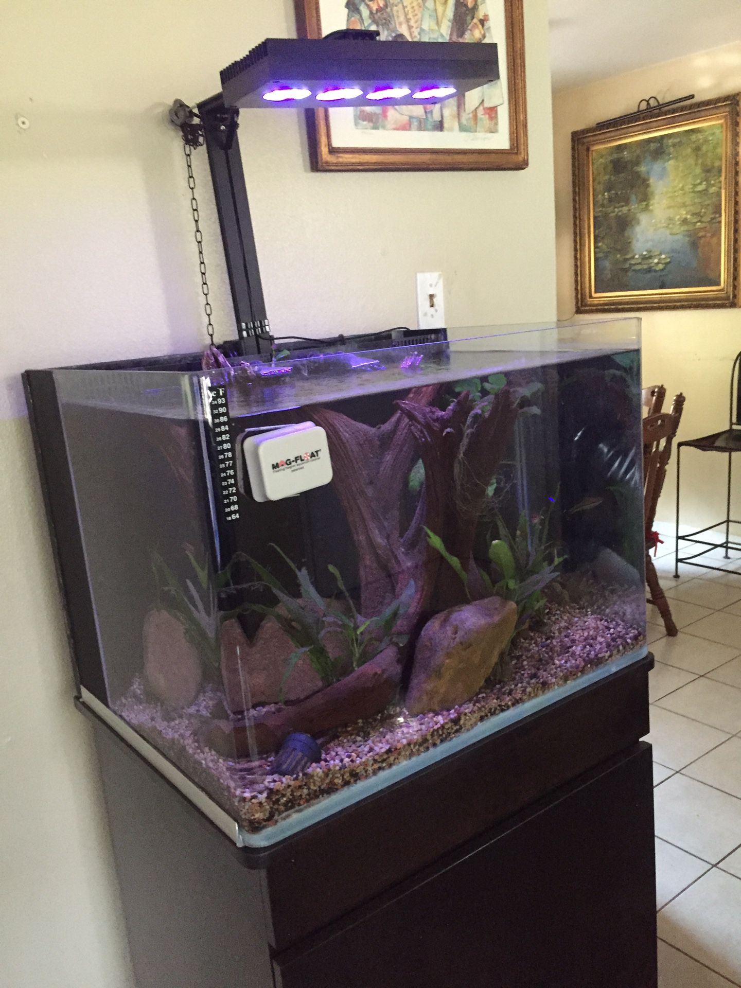 Fish tanks 60 gallons fresh water or sal water complete