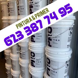 Extra White Interior Paints 