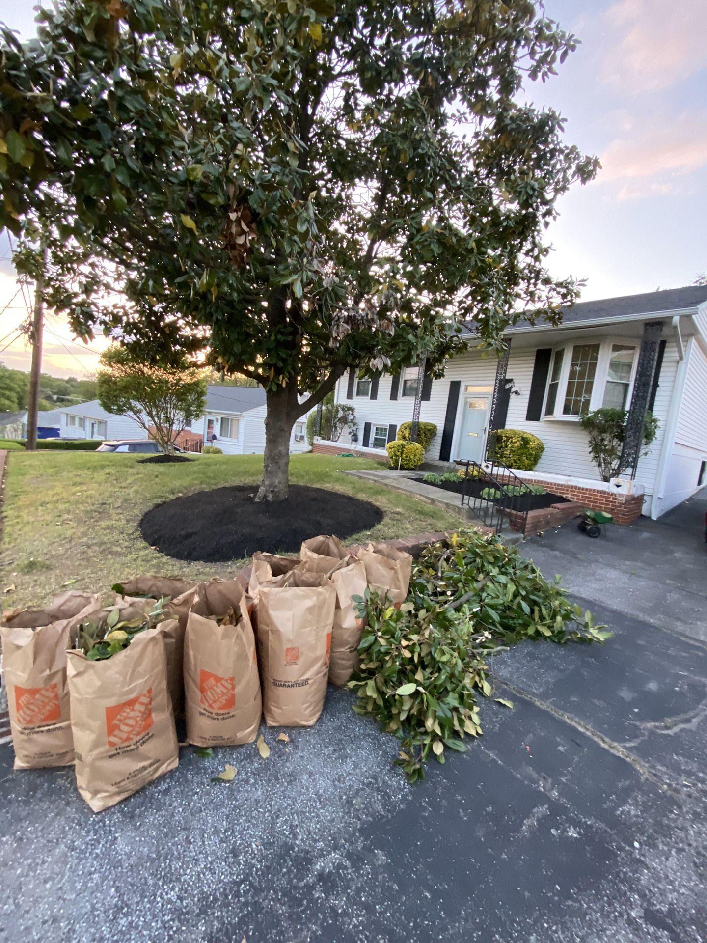 Bush Trimming/mulch/ Tree Pruning/yard Clean Up