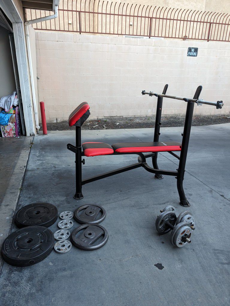 Weightlifting Bench and Weights