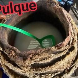 Rico Pulquesito Fermentado 