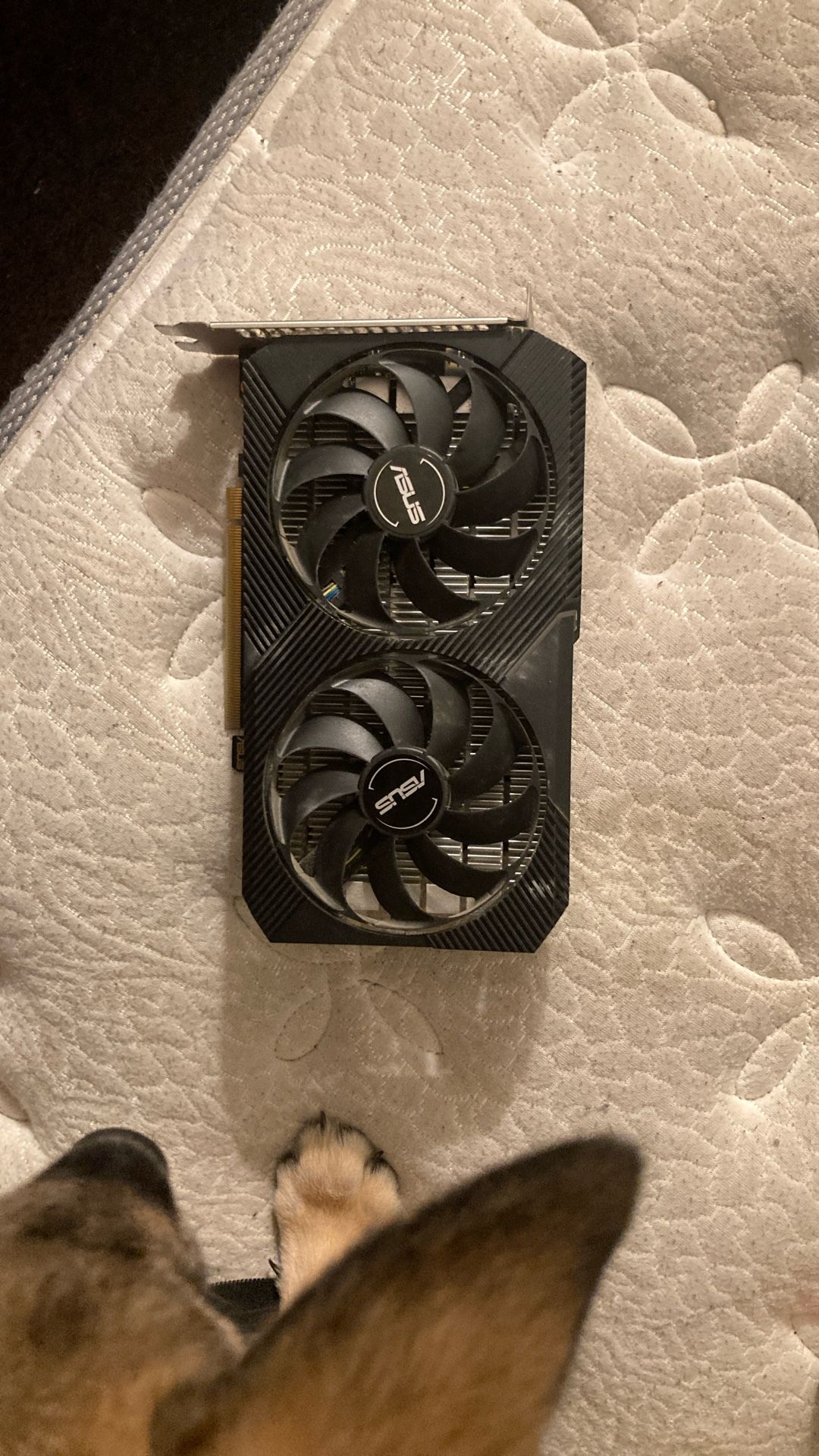 ASUS gtx 1650 super