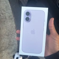 iPhone 17 Lavender