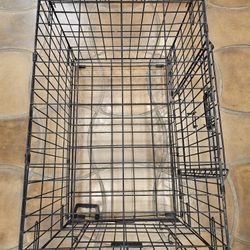 Dog Crate