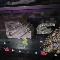 Fish Turtle Tank