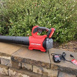 Cordless Leaf Blower with Battery & Charger
