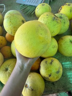 Pomelo/Toronja