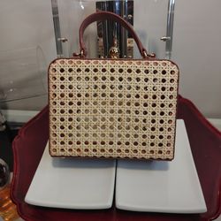 Mehry Mu beautiful handbags