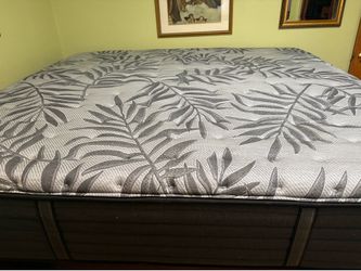 Free king sized mattress