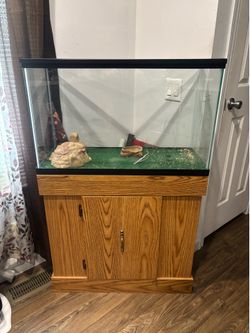 Reptile tank