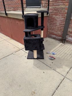 Cat furniture
