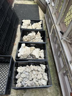 Reef Saltwater Aquarium, Fish Tank Rocks