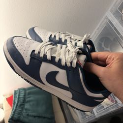Nike Dunks Blue 