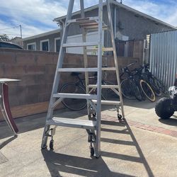 Werner Ladder, platform dual access 6 Foot Ladder 🪜  Heavy duty Has wheels for easy movement. You can use the ladder on both sides dual access