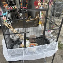Bird cage