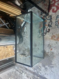 20 gallon Aquarium