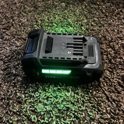 Flex Battery 