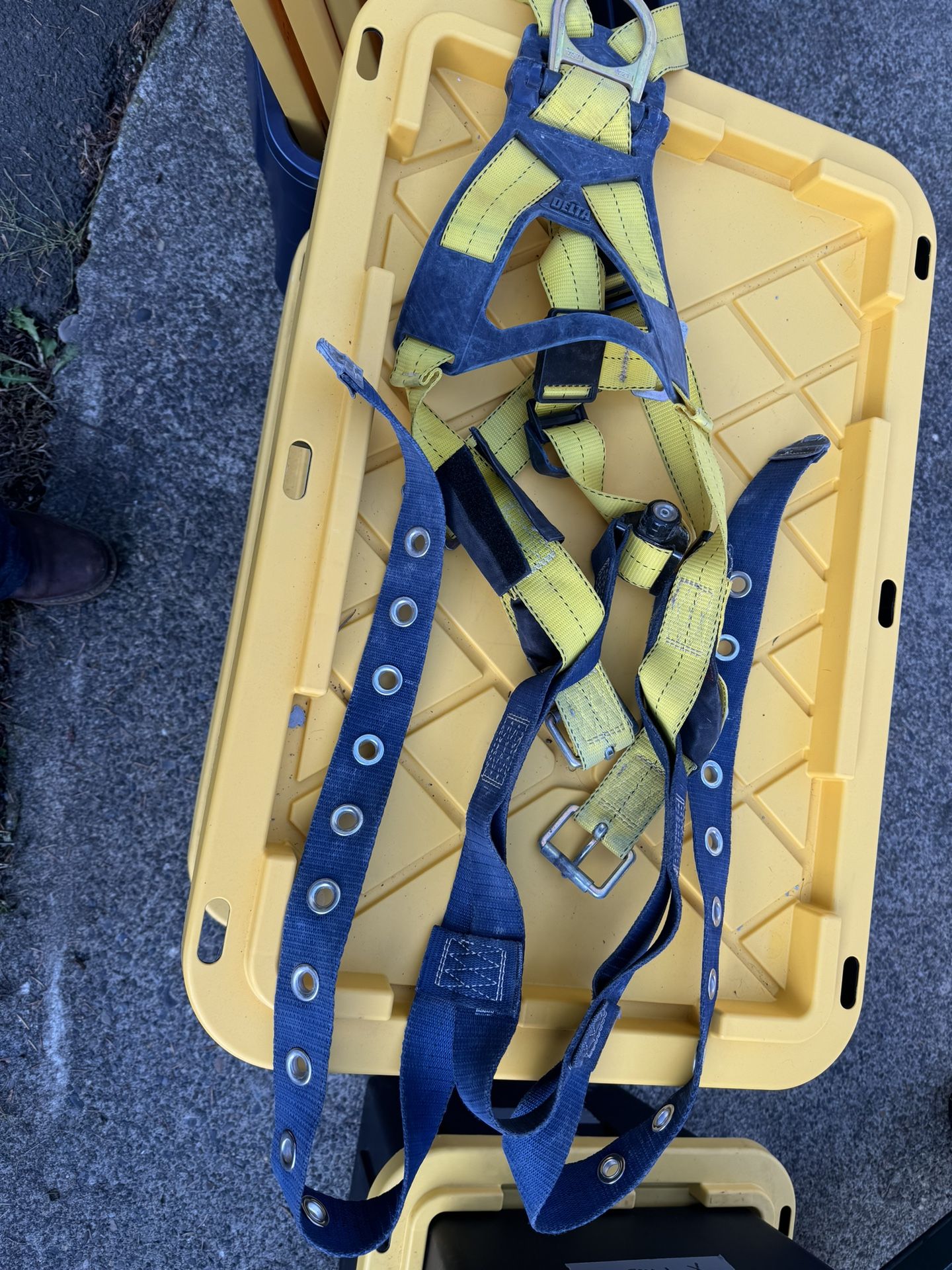 Safety Harness