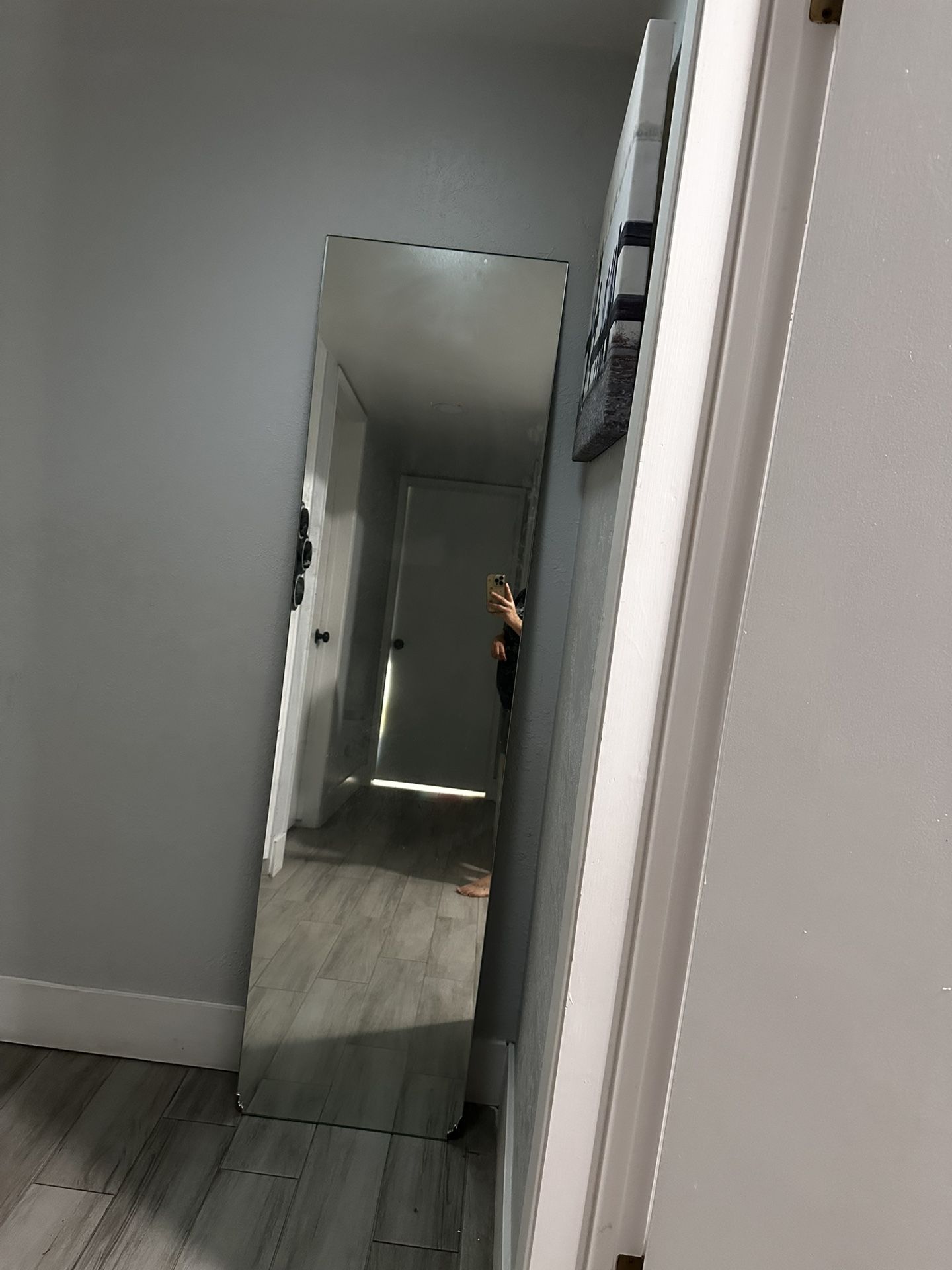 thin and tall mirror 68x18