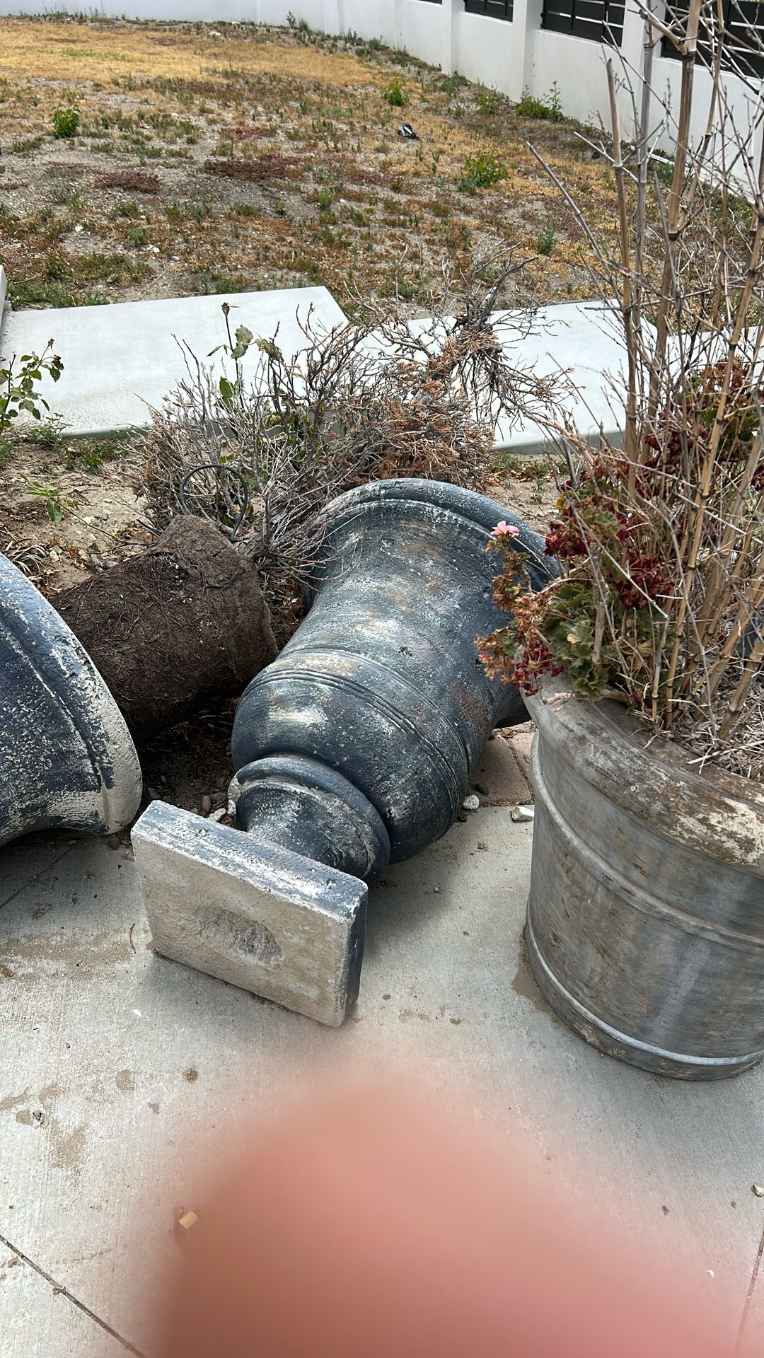 Concrete Flower Pots