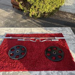 Magnum 45 Lbs  2 with Curl bars set