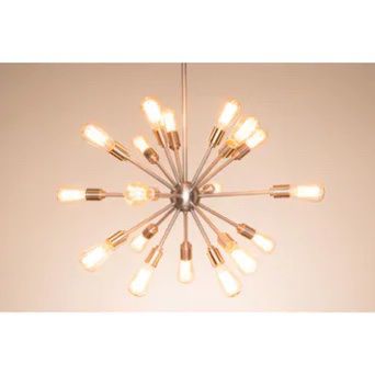Chandelier/ Ceiling Lamp