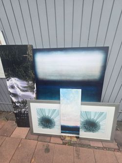 A lot of pictures for a 100 dollars,  retails for close to a thousand!