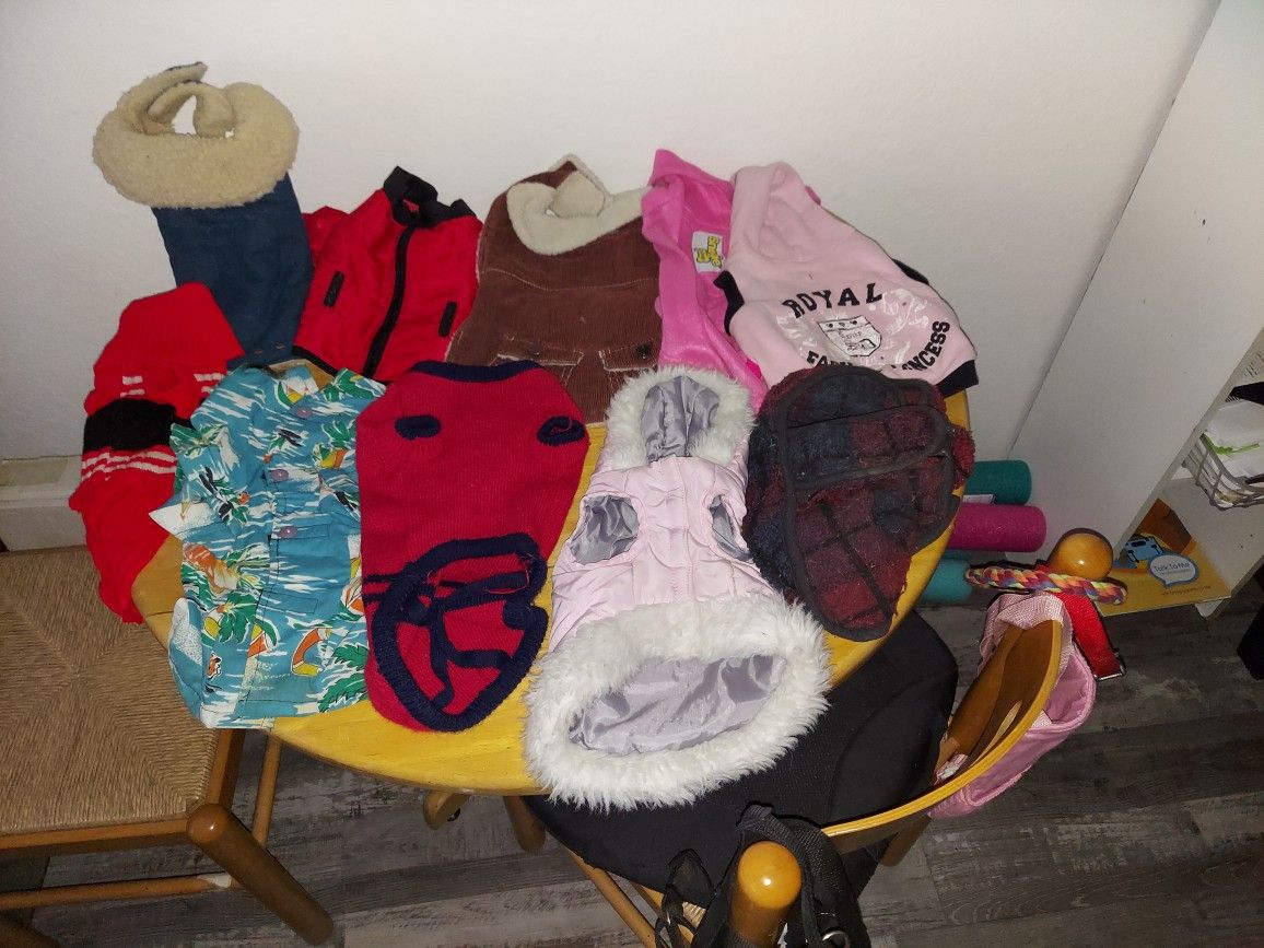 Doggie Seeaters, 1 Snuggie for dogs 2 back packs, 2 collars and one tug of war toy.