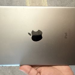 Apple iPad Mini Unlocked 